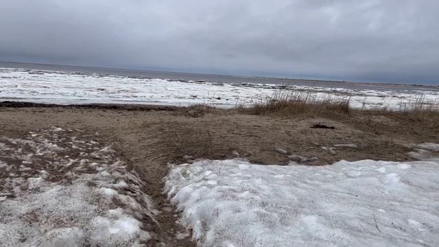 VLOG: С цвергшнауцером на Белом море/With a minischnauzer on the White Sea смотреть онлайн