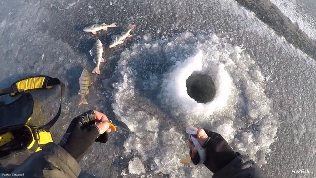 Зимняя рыбалка на заливах Красноярского водохранилища. Окунь на балансир. 02.12.2018г. смотреть онлайн
