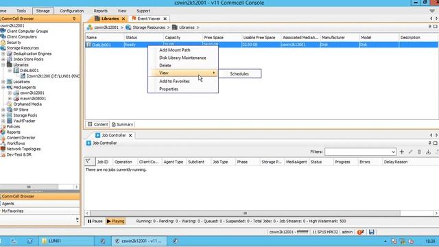 CommVault - Disk Library (For Beginners) смотреть онлайн