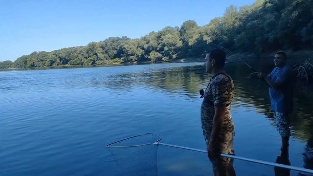 Ловили КАРПА, а поймали СОМА! смотреть онлайн