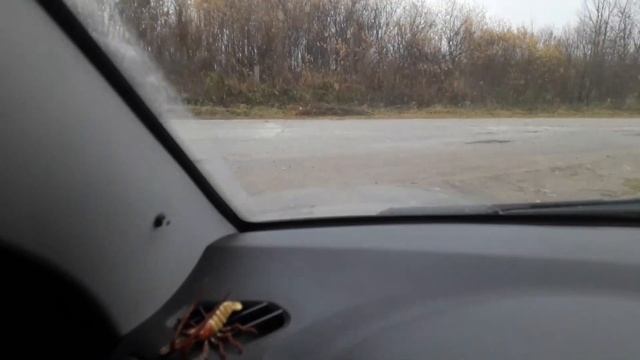 Веста1.8 робот. Эмоции на пределе. Дополнение смотреть онлайн