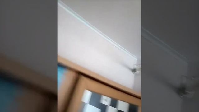 Как установить гамак в домашних условиях смотреть онлайн