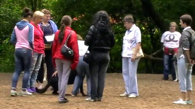 Тестирование смотреть онлайн