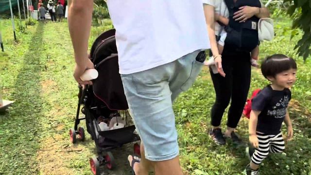 Япония ВИШНЁВЫЙ САД смотреть онлайн