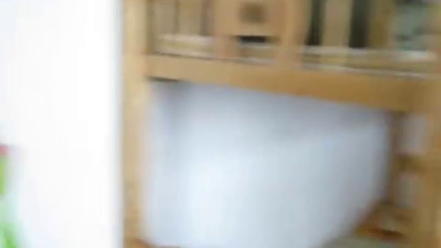 Longgang SWI foster home Shenzhen China part 2 смотреть онлайн