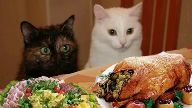 Занавесочки исп. Елена Саларёва - Грин смотреть онлайн