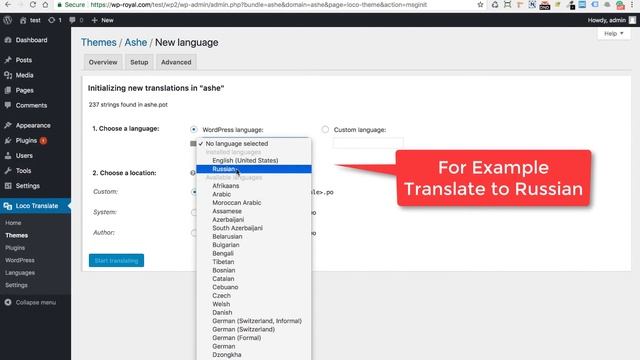 How to Translate Ashe & Bard Free Wordpress Themes with Loco Translate смотреть онлайн