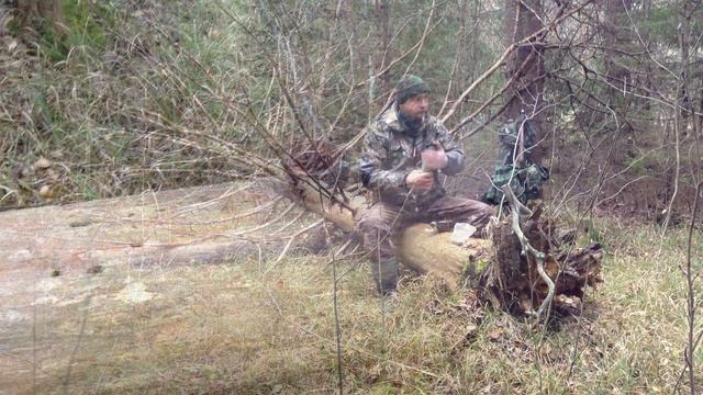 ПРОГУЛКА ПО ЛЕСУ/РАЗВЕДКА РЯБЧИКА/ДОБЫЧА ЛАПНИКА.walk in the woods/#бушкрафт#тайга#лес#природа смотреть онлайн