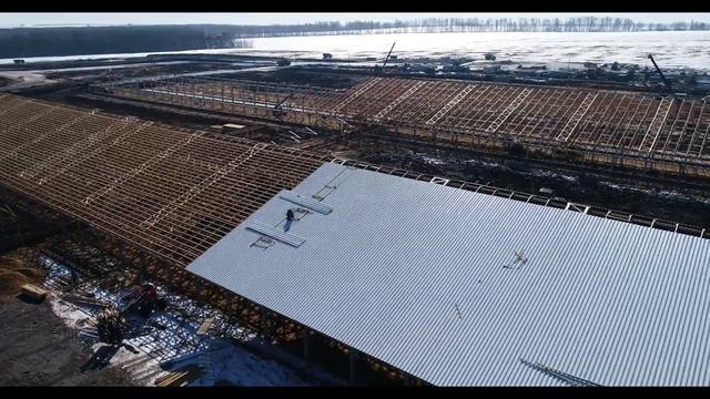 Ферма КРС на 4 000 телят смотреть онлайн