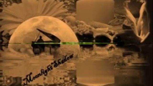 João Pedro Pais & Susana Felix смотреть онлайн