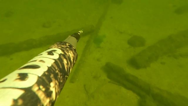 UMBA 2023. Там где солёная вода смешивается с пресной! смотреть онлайн