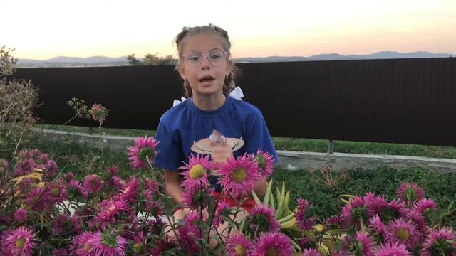 Зачем нужна биология? смотреть онлайн