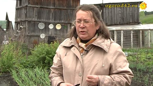 Совет ленивой огородницы: с сорняками не церемониться смотреть онлайн