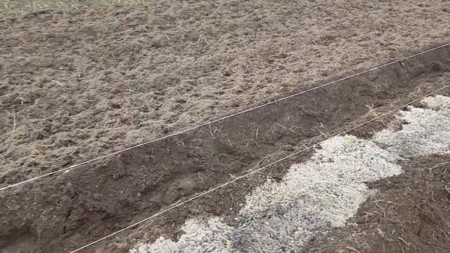 Подготовка гряд для балаганов на будущий год смотреть онлайн