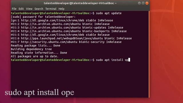 How to install Java on Ubuntu (Debian Linux) in 1 minute смотреть онлайн