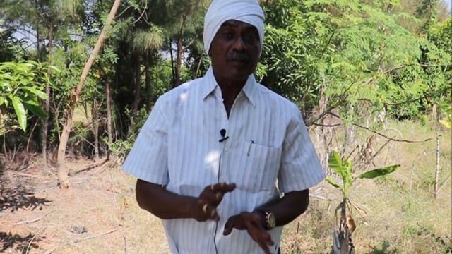 శ్రీగంధం సాగు సపోర్ట్ మొక్క ఎంపిక| Srigandham Cultivation Host Plants Selection Part-2 In Telugu смотреть онлайн