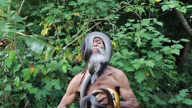The Snakeman THORM смотреть онлайн