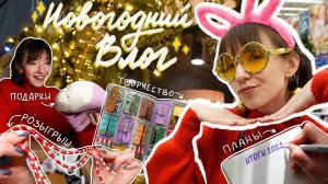 VLOG #17 | Что надо успеть до НГ?