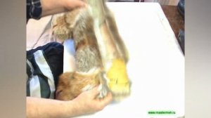 Зимняя шапка ушанка. Пошив шапки из лисы