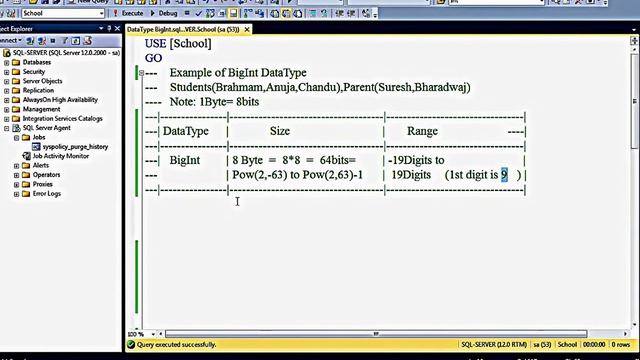 SQL Server Data Type - BigInt (English) смотреть онлайн