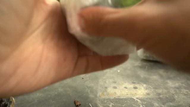 I Was Sent a Box Full of Dinosaur-Aged Fossils, Crystals, Geodes, & More! Unboxing Montana Treasure смотреть онлайн