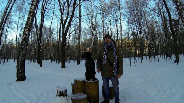 Поздравление легашатников с НГ 2015 смотреть онлайн