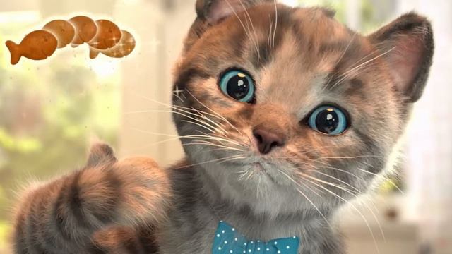 EDUCATION GAME FOR CHILDREN - LITTLE KITTEN ADVENTURE AND SCHOOL ADVENTURE WITH ANIMALS смотреть онлайн