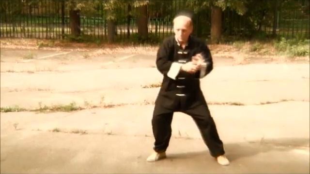 Video. Тайцзи цюань. Влияние. ИСИ 2011. Бесконтактный бой. смотреть онлайн