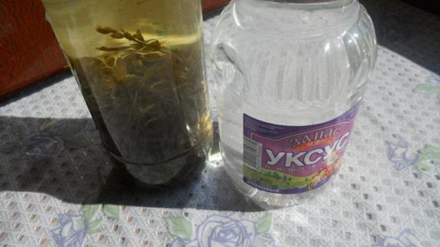 Книга рецептов