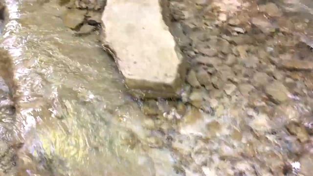 Водопады реки Пшада ? Наша поездка по Черноморскому побережью смотреть онлайн