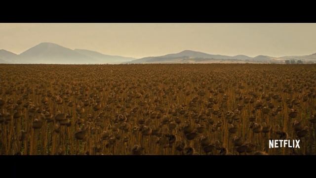 Новые фильмы 2021-2022, уже вышедшие в хорошем качестве 7-й неделе смотреть онлайн