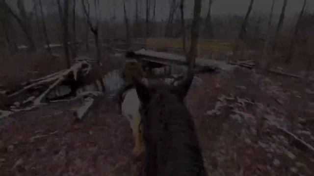 WINTER TRAIL RIDE ON MY DRAFT HORSE|Trail Riding|Vlog смотреть онлайн