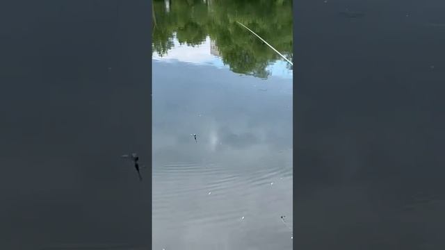 учу ловить рыбу смотреть онлайн