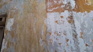 что делать со стенами покрашенными масляной краской