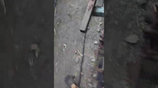 самодельная кукурузная сеялка смотреть онлайн