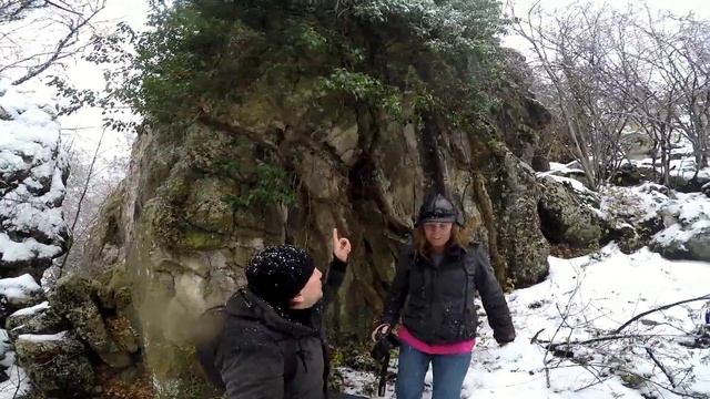 плющ крымский, еще не созрел смотреть онлайн