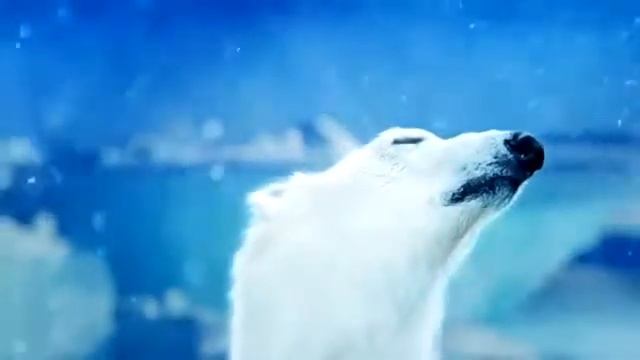 Kentatsu Titan смотреть онлайн