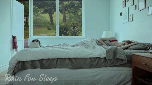 Sleeping Woman - Rain Sounds For Sleeping - Fall Asleep to Rain and Thunder Sound at Night смотреть онлайн