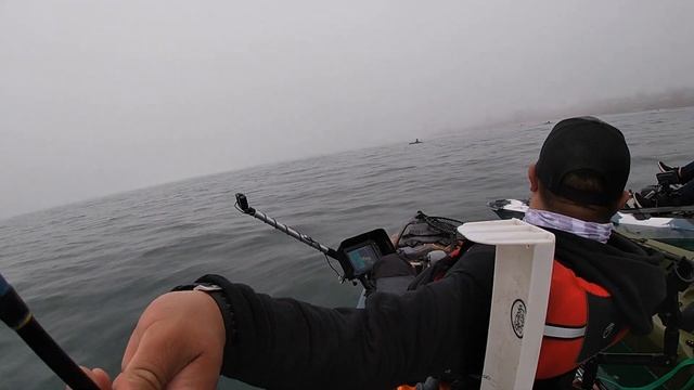 My Sons B-Day fishing trip. Monterey Bay Kayak Fishing Trip. (Catch-N-Cook) смотреть онлайн