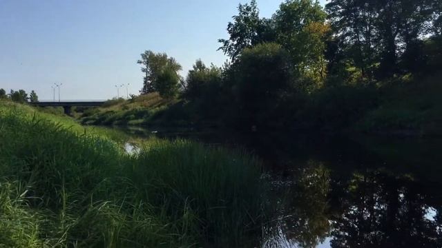 Чудово (Новгородская обл.), ул. Ленина. Река Кересть. Пляж. 18.08.2018, 09:31 смотреть онлайн