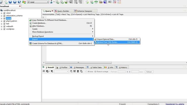 How to Import or Restore Database from SQL Dump смотреть онлайн