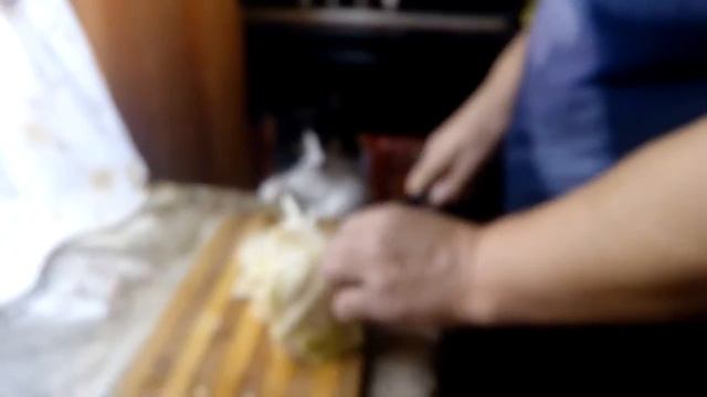 Животное : кошка моя Кнопка таскает капусту смотреть онлайн