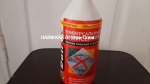 Чем удалить грибок и плесень в помещении  - ЛАЙФХАК