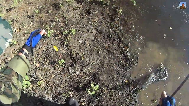 Рыбалка на Волге 2019 .Окунь попёр. 5й день.Fishing on the Volga смотреть онлайн