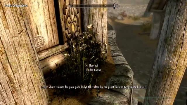 How to Destroy the Dark Brotherhood + Elder Dragon fight | Skyrim SE True Nord Part 14 смотреть онлайн