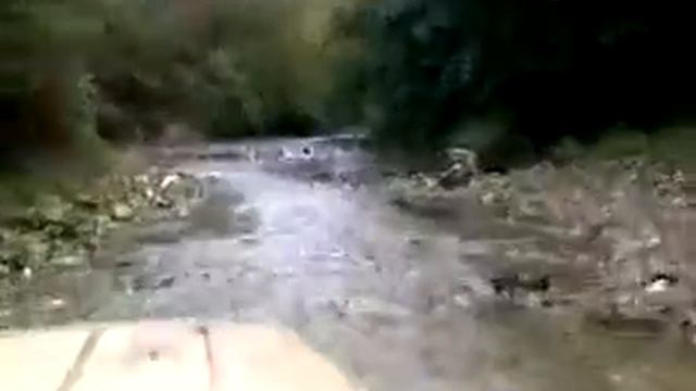 По реке.... / Sochi смотреть онлайн