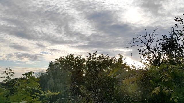 За какие качества женщины ценят мужчин больше всего. смотреть онлайн