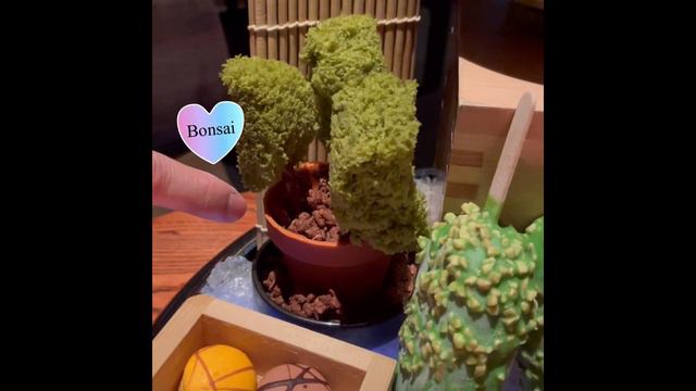 Our dinning experience at KOMA MBS Singapore, Family day out! #sgfoodie смотреть онлайн