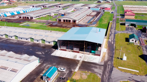 Линия витаминно-травяной муки (травяных гранул)