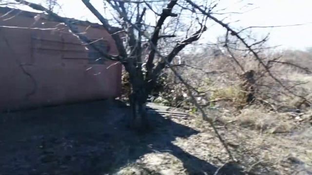 Зимние яблоки "Семеренко". смотреть онлайн